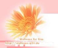 wellness.q24.de